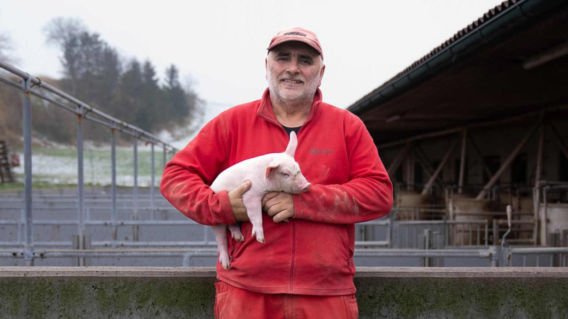 Brennpunkt Österreich - Glaubensfrage Fleisch